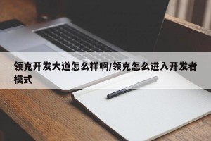 领克开发大道怎么样啊/领克怎么进入开发者模式