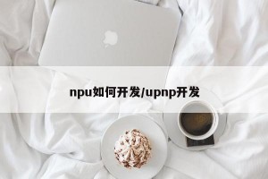 npu如何开发/upnp开发