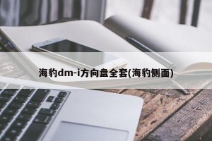 海豹dm-i方向盘全套(海豹侧面)