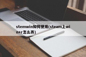 stemwin如何使用(steam上win+r怎么弄)