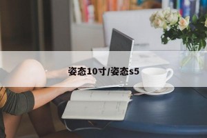 姿态10寸/姿态s5