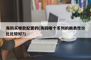 海鸥买哪款配置的(海鸥哪个系列的腕表性价比比较好?)