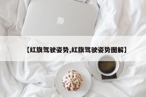 【红旗驾驶姿势,红旗驾驶姿势图解】