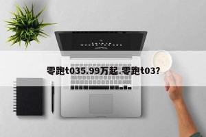 零跑t035.99万起.零跑t03？