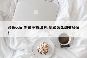 瑶光cdm副驾座椅调节.副驾怎么调节椅背？