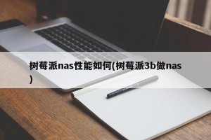 树莓派nas性能如何(树莓派3b做nas)