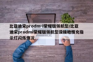 比亚迪宋prodm-i荣耀版领航型/比亚迪宋prodmi荣耀版领航型没接地慢充指示灯闪烁情况