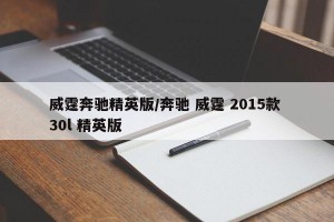 威霆奔驰精英版/奔驰 威霆 2015款 30l 精英版